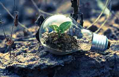 生態原則在城市景觀設計中的運用