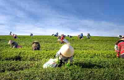 基于勞動經濟學背景下的人力資源管理分析