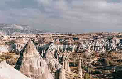 區(qū)域活動總結(jié)