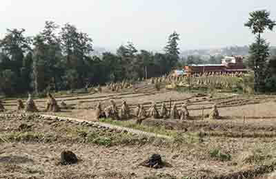 農村小學籃球趣味游戲探索