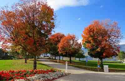 公園設(shè)計(jì)論文