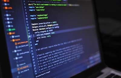 細胞器系統內的分工合作