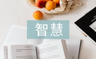 我國智慧物流發展策略