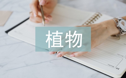 庭院植物種植設計