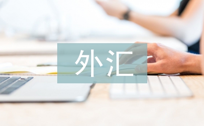 外匯工作計(jì)劃