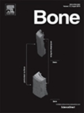 Bone雜志