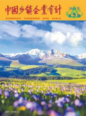 中國鄉鎮企業會計