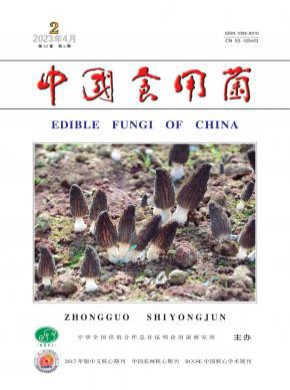 中國(guó)食用菌