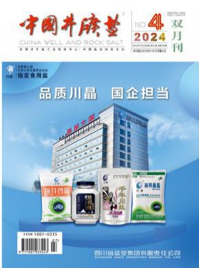 中國井礦鹽