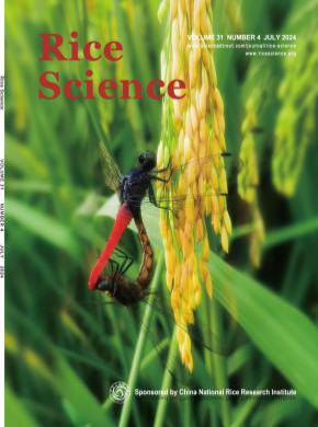水稻科學(xué)