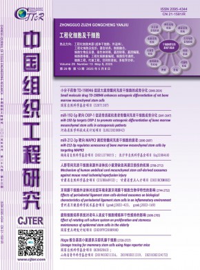 現(xiàn)代康復(fù)